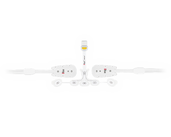 Sensores y cables SedLine<sup>®</sup> y O3<sup>®</sup>